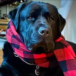 Larry Healey - @larryhealey - Instagram