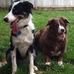 Larry Hecht - Facebook