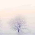 Larry Hecht - @larryhecht66 - Instagram