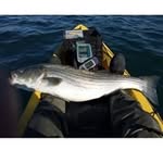 Larry Heimes - @larryheimes - Instagram