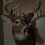 larry hein - @hein.larry - Instagram