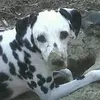 Larry Hildreth - @larry.hildreth5 - TikTok