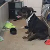 Larry Henderson - @larry.henderson4 - TikTok