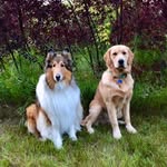 Murphy_Henley_Larry - @murphy_henley_larry - Instagram