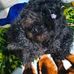 Hermeli Lara - Facebook