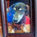 Larry Herrin - Facebook