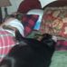 Larry Herder - Facebook