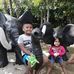 Larry Higa Reyes - Facebook
