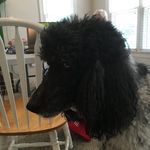 Larry - @larryhiller.hhh - Instagram