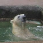 Larry Hindman - @dlh4020 - Instagram