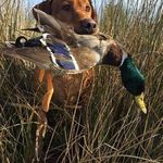 Larry Hindman - @hindmanlarry - Instagram