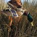 Larry Hindman - Facebook