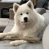 Larry Hoffert555 - @larryhoffert555 - TikTok