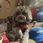 Larry J Hoffert - @larryjhoffert - Instagram