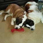 Larry Houston - @larry.houston.94 - Instagram
