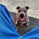 Larry Houston - @larryhouston17 - Instagram