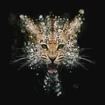 Larry Hunsicker - Facebook