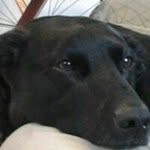 Larry Hunter - @larryhunter718 - Instagram