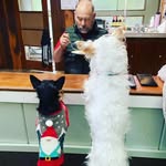 Larry Hurtado - @papalarry.58 - Instagram