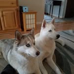 Larry Huskey - @diver2017 - Instagram