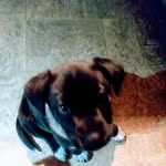 Larry Hines - @larry.huttonhines - Instagram