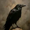 larryannunzio41 - @larryannunzio41 - TikTok