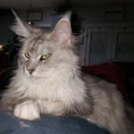 Larry Inge - @larryinge - Instagram