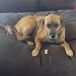Larry Reidinger - @larryreidinger - Instagram