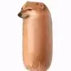 Don Pancho - @larry_ip - TikTok