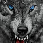 Larry Ip - @larry.ip.7 - Instagram