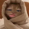 larryipp_ - @larryipp_ - TikTok
