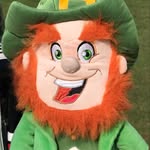 Larry - @larrytheirishleprechaun - Instagram