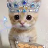 larry_gives - @larry_gives - TikTok