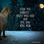 Larry Janousek - Facebook