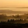 jasperlarry109 - @jasperlarry109 - TikTok