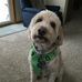 Larry Jasper - Facebook