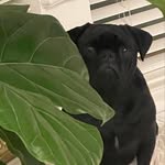 Laura Lee - @_larry_jean_ - Instagram
