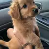 Larry Jeffrey - @user5479373669904 - TikTok