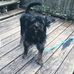 Larry Jolley - Facebook