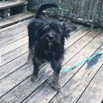 Larry Jolley - @navyudtstats - Instagram
