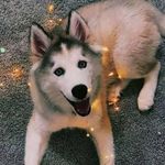 Larry Joy - @larry.joy.355744 - Instagram
