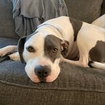 Larry Jude - @adventuresbylarry - Instagram