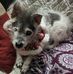 Larry Karnes - Facebook