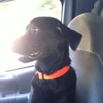 Larry Karr - @larry.karr.9 - Instagram