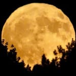Larry Moon - @larrykeanes10 - Instagram