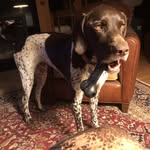 Larry Kear - @lwkear - Instagram