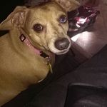 Larry Keeton - @lrrktn - Instagram