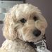 Larry Kehoe - Facebook
