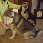 Larry Kehoe - @lpkehoe - Instagram