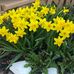 Laurie Kellerman - Facebook